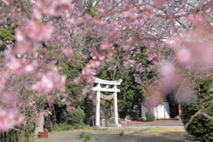鳥居