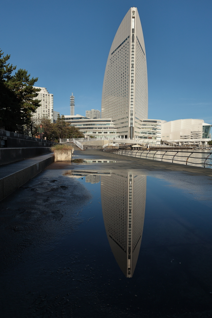 １１月のリフレクション２