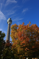 青空と色づく木々