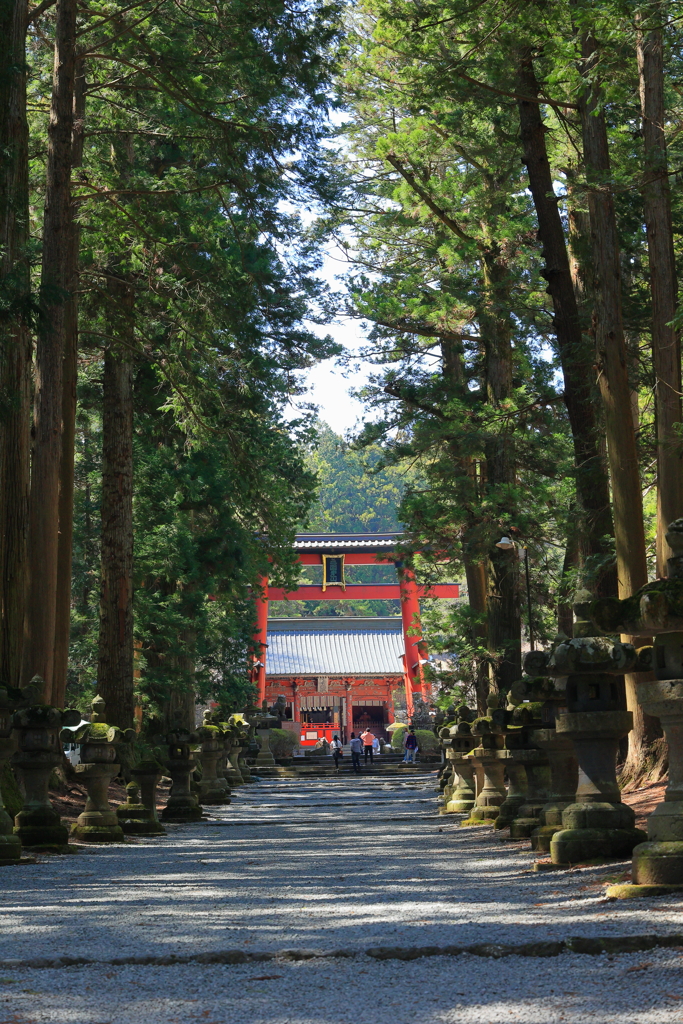 北口本宮冨士浅間神社大鳥居