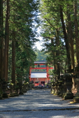 北口本宮冨士浅間神社大鳥居