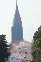 新宿御苑