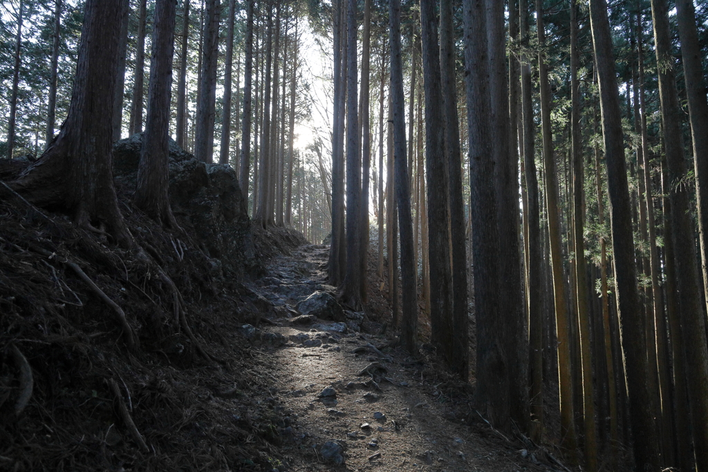 山道