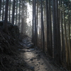 山道