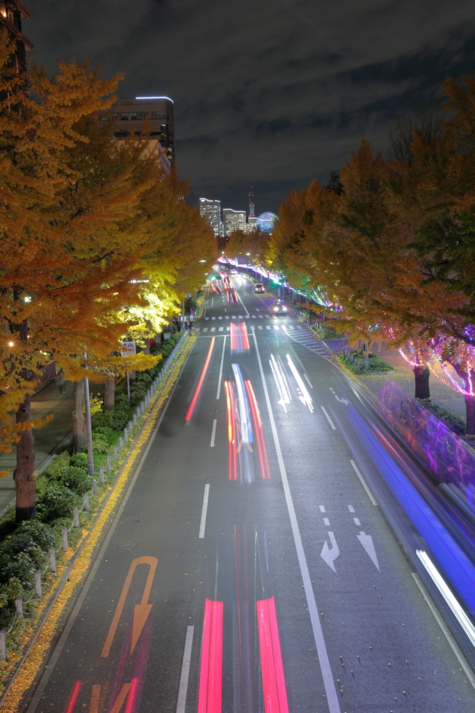 山下公園通り