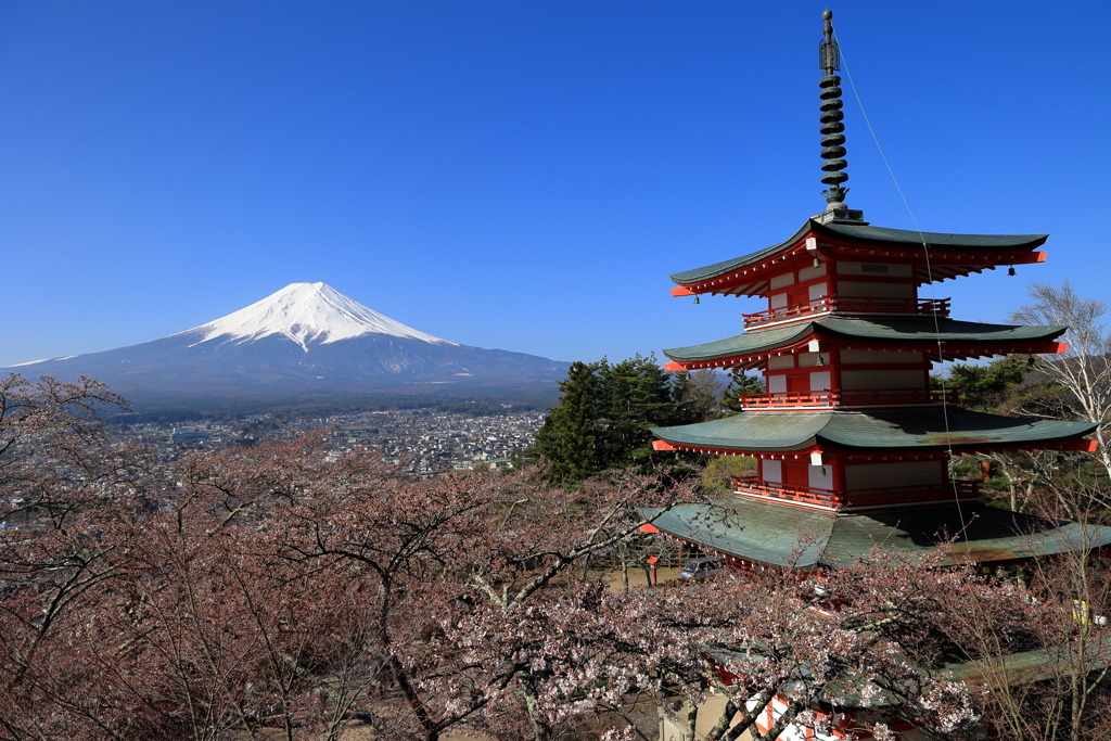 新倉山浅間神社からの富士山