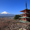 新倉山浅間神社からの富士山