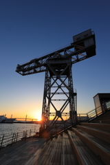 ハンマーヘッド