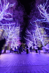 みなとみらい全館点灯Ⅱ