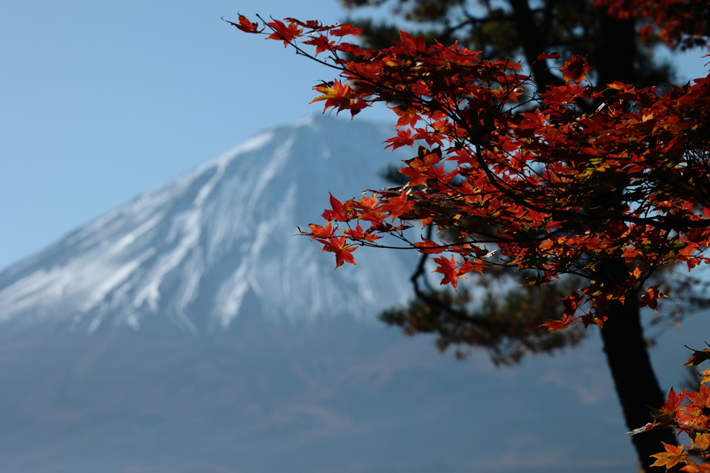 紅葉台より