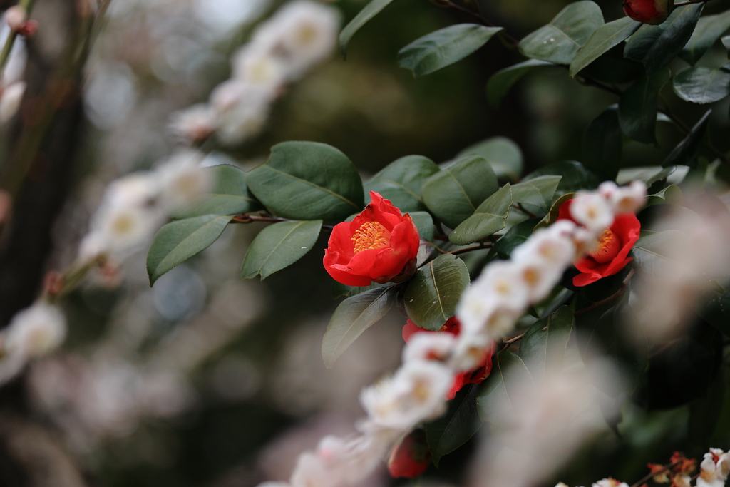 もう少し頑張る