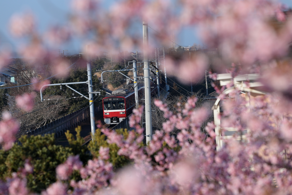 花背負って京急