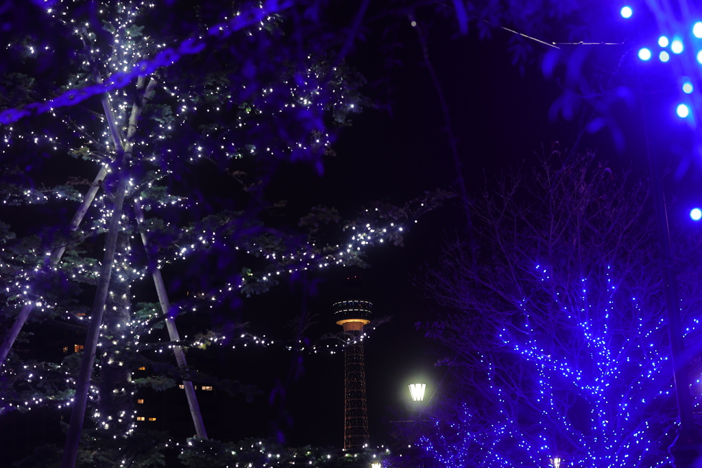 アメリカ山公園からマリンタワー