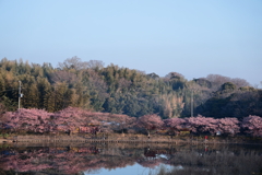 小松ヶ池公園Ⅰ