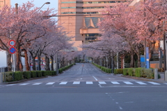 桜木町　朝Ⅲ