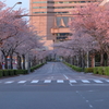 桜木町　朝Ⅲ