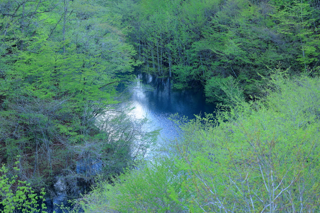 新緑　波立つ淵