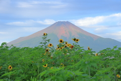 山の日の富士山