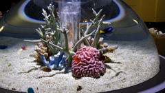 海の中の世界
