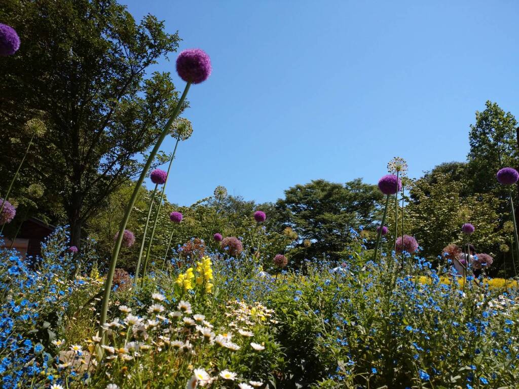 ふなばしアンデルセン公園