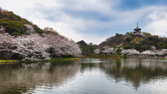 三渓園