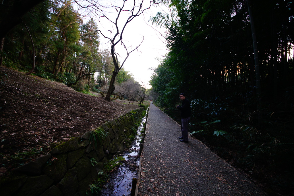 DSC04283