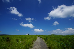 DSC06251