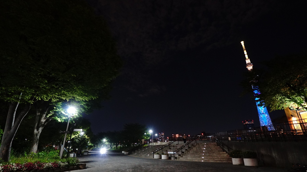 隅田川公園の夜