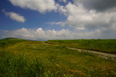 DSC06173