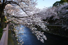 DSC05653