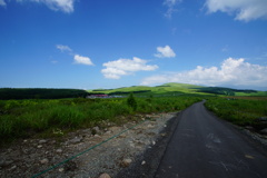 DSC06307