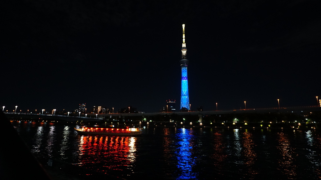 隅田川公園の夜