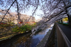 DSC05380