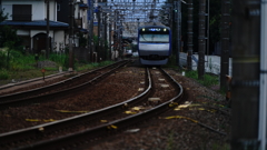 DSC01491