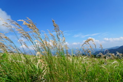 DSC06642