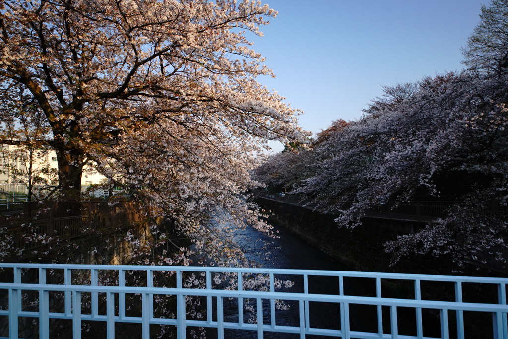 DSC05616