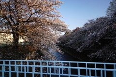DSC05616