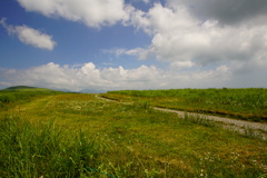 DSC06177