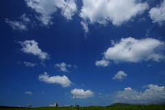 DSC06246