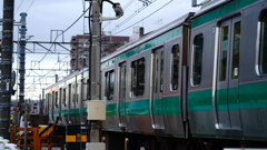 DSC01618