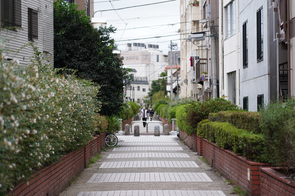 遊歩道