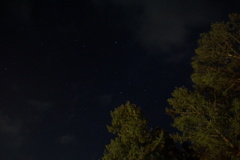 DSC07005