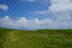 DSC06221