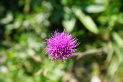 DSC06797