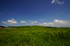 DSC05994