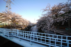 DSC05596
