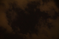 DSC06941