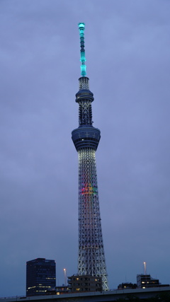 DSC06396