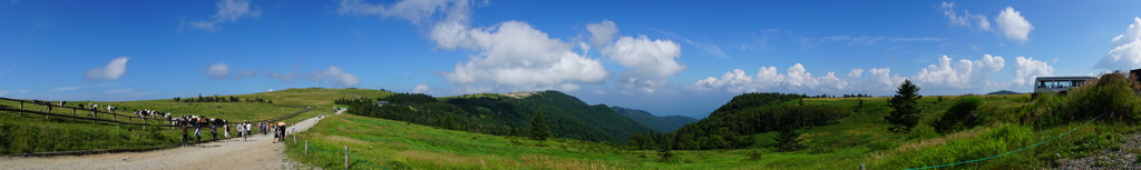 DSC06759