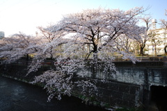 DSC05586